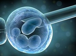 试管婴儿降调促排取卵是怎么回事？