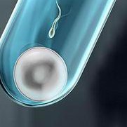 重庆医科大学附属第二医院做三代试管成功率如何？一文读懂需要花多少钱