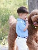 最新试管建档流程全面分析，这几大证件最不能缺少！