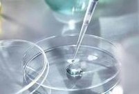 陕西省可做试管婴儿（陕西哪家医院做试管婴儿成功率高）