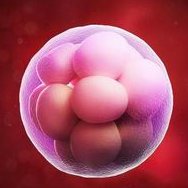 染色体易位在安徽医科大学第一附属医院可以做三代试管吗？染色体平衡易位还能生健康的宝宝吗？