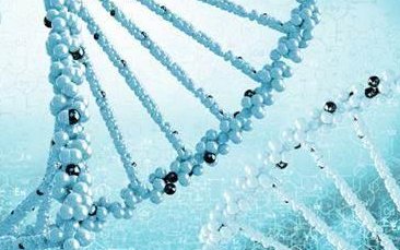 同样是胚胎移植第50天出血,为什么有些孕妇会流产？