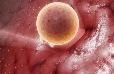 做试管婴儿的人哪些能吃哪些不能吃？做试管饮食禁忌有哪些？